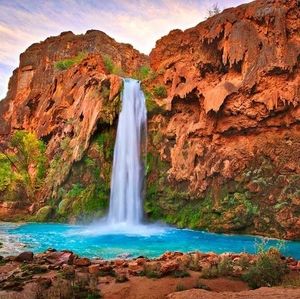 Meet your Posher, Fred